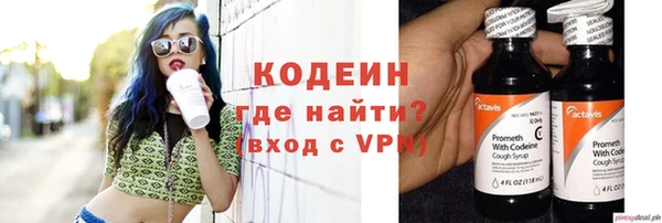 дурь Арсеньев