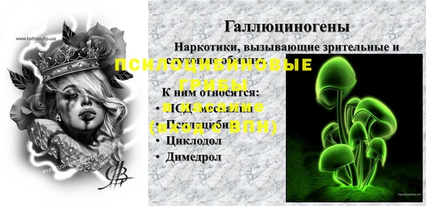 шишки Армянск