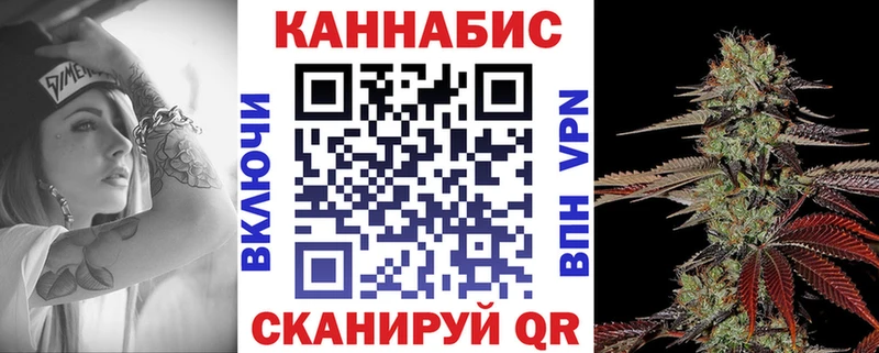Купить  Фрязино  Канабис ГИДРОПОН 